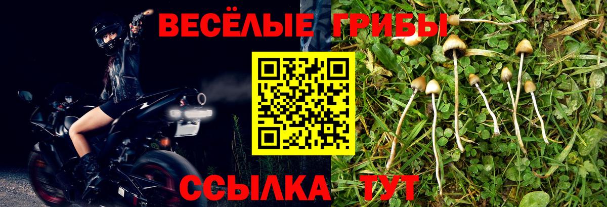 Галлюциногенные грибы Magic Shrooms  продажа наркотиков  Вход с VPN  Чистополь  Псилоцибиновые грибы прущие грибы 